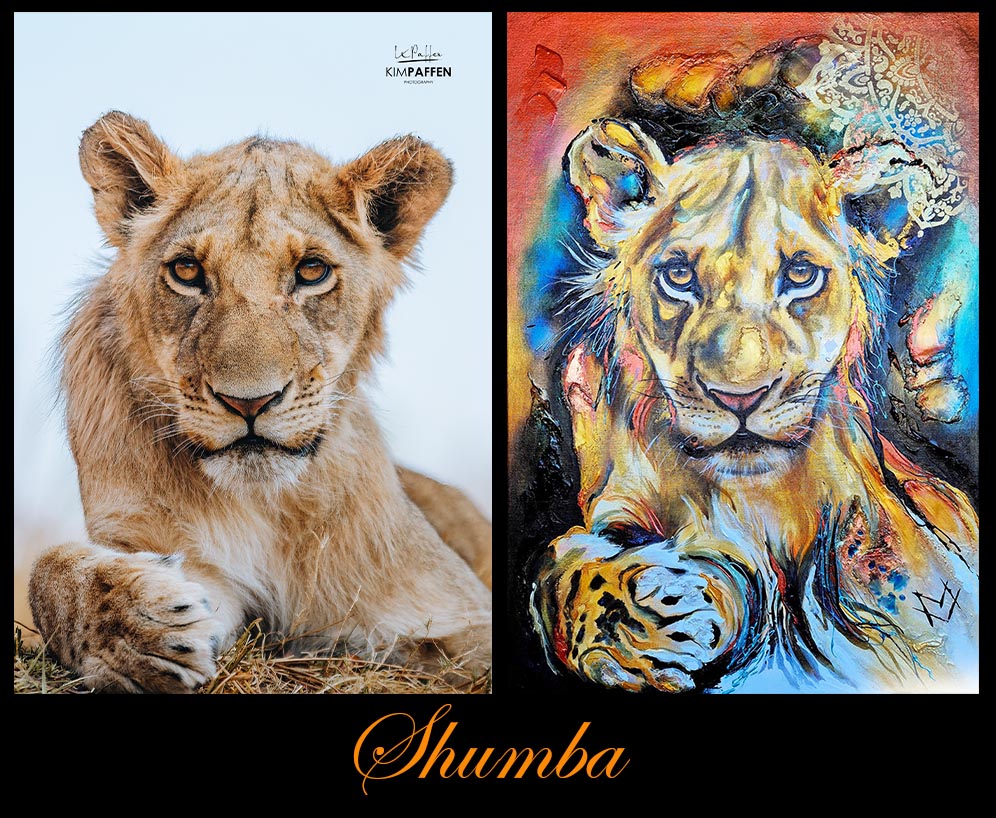 Shumba - detail